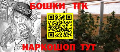 мдпв Пугачёв
