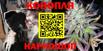 мдпв Пугачёв