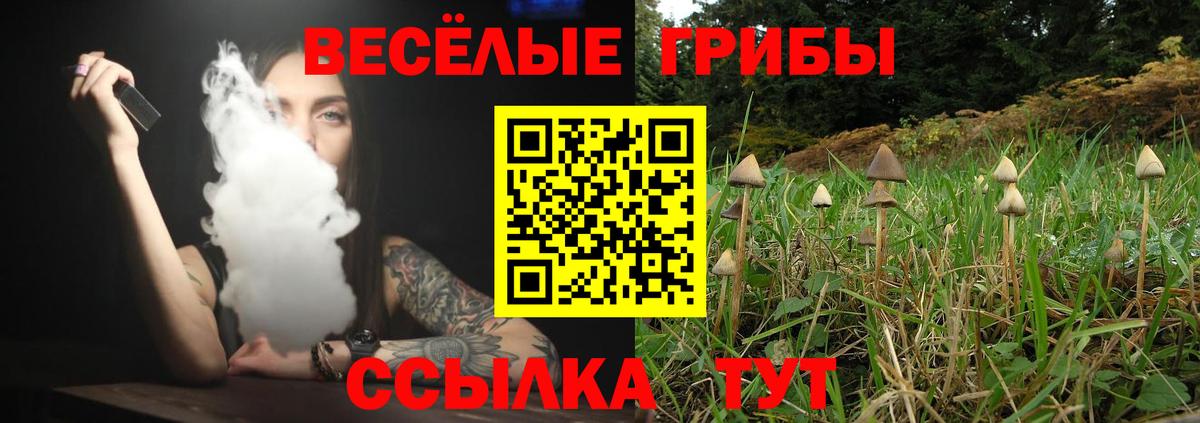 Галлюциногенные грибы мицелий Новый Уренгой
